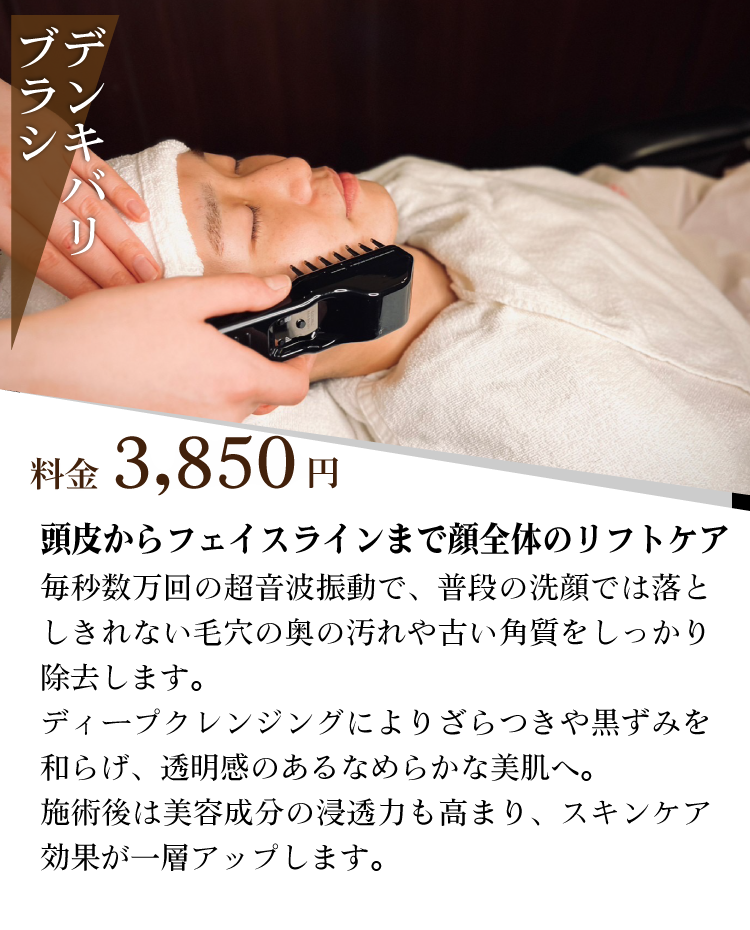 デンキバリブラシ