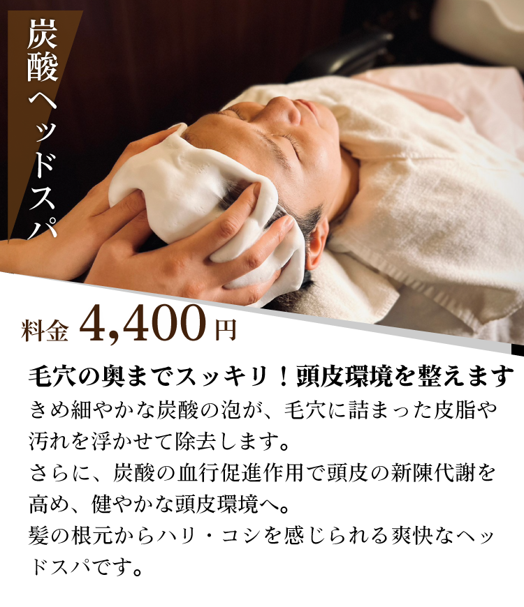 炭酸ヘッド